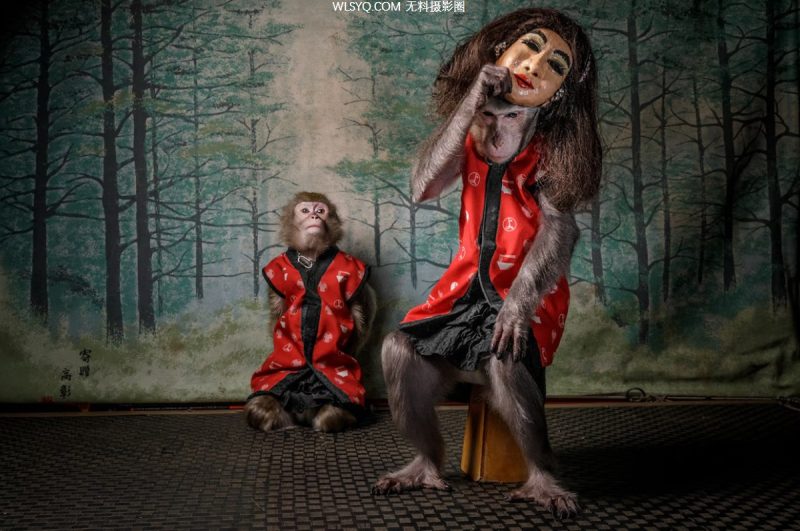 這些是我們2025年最好的動物照片[26P]-無料攝影圈