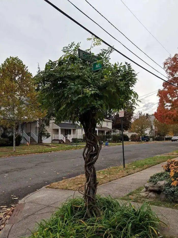 21個被自然“接管”的地方：人類消失后地球就是這樣的！-無料攝影圈